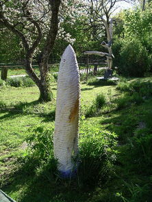 IMGP 3361, Birke, h 153 cm